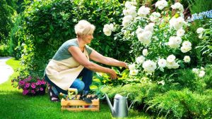 Older woman outside gardening in her yard