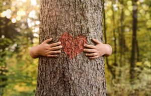 Person wrapping their arms around a tree; the tree has a red heart on the bark; green burial concept