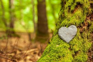 Small stone heart resting in the moss of a large tree out in the forest; green burial concept