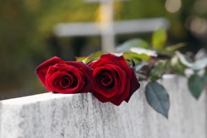 Red roses on top of a headstone