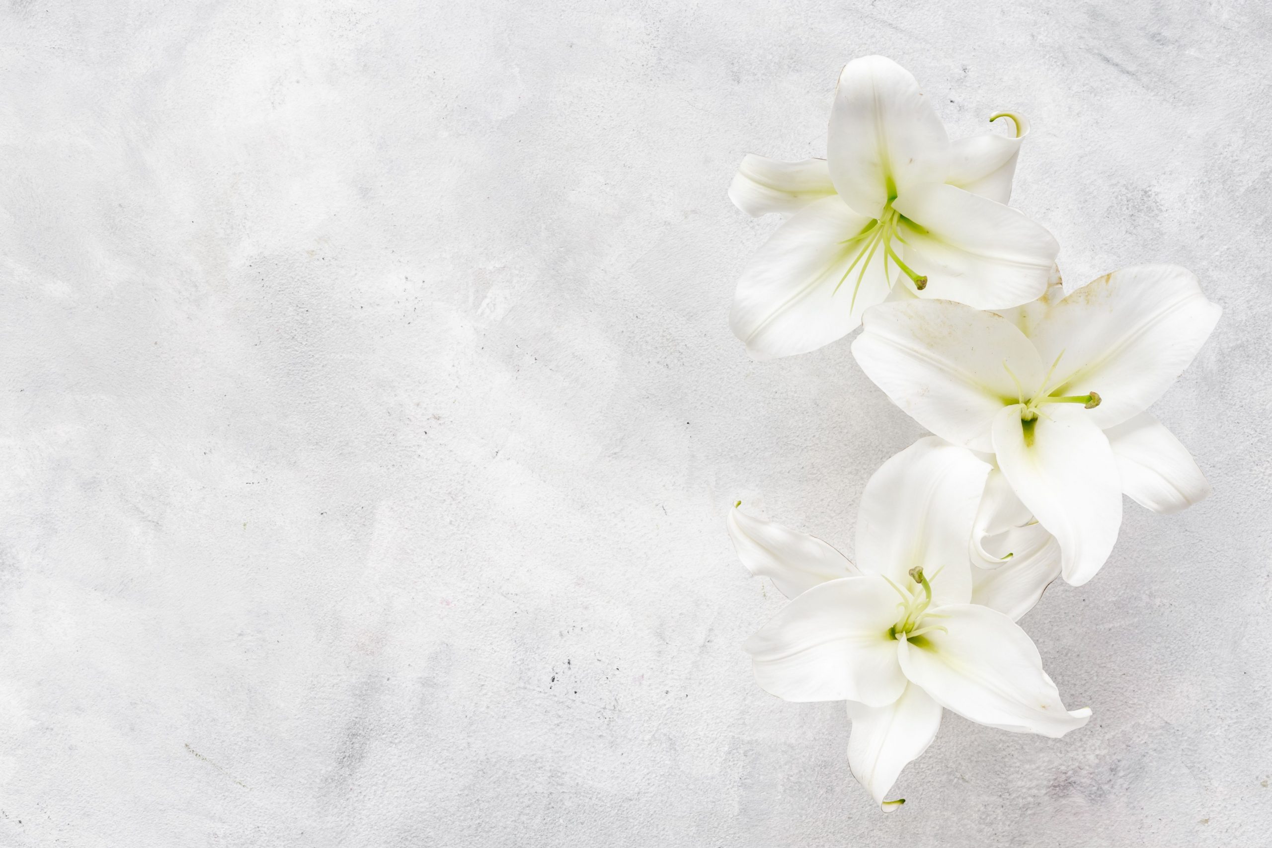 The Simple Guide to Funeral Etiquette