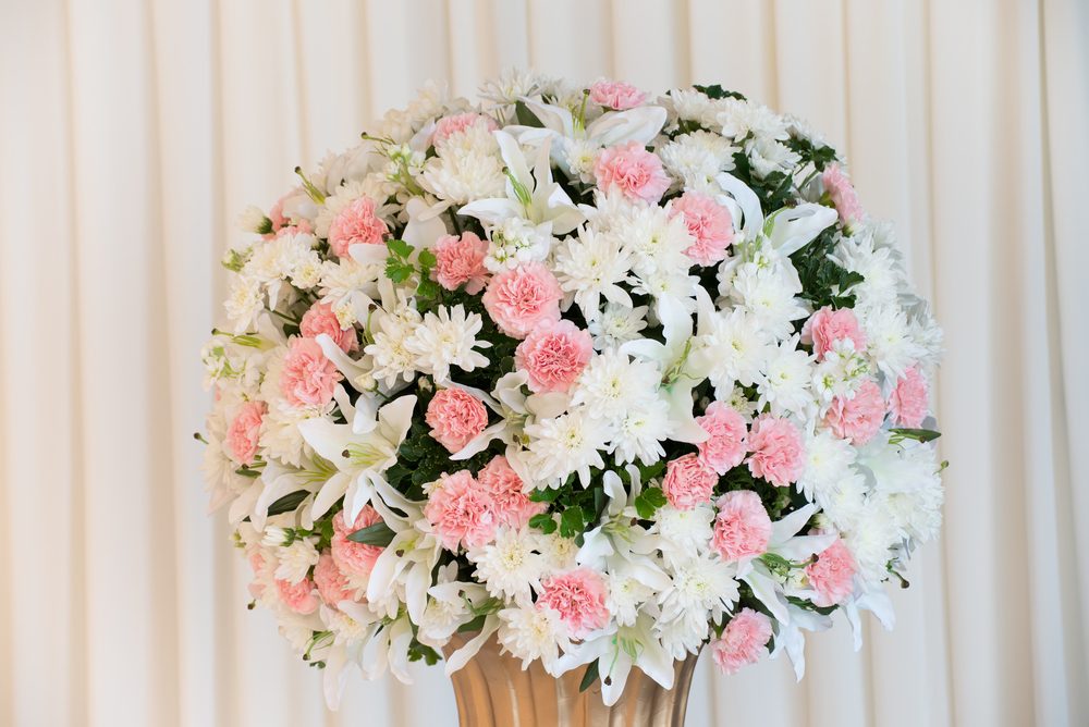 shutterstock_311231177