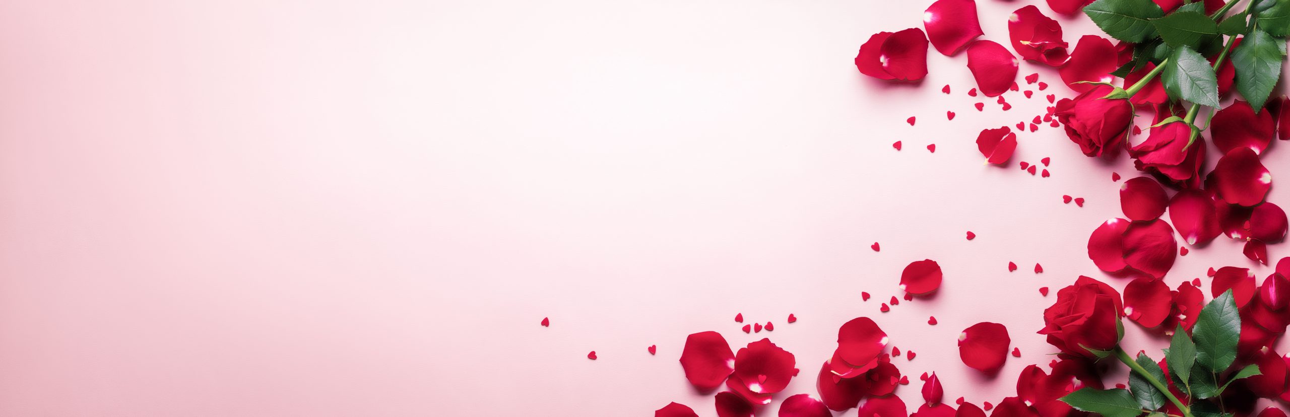 How to Cope with Grief on Valentine’s Day