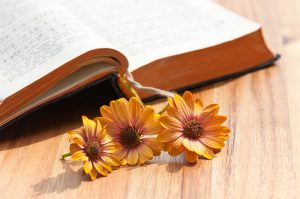Bookmark with yellow flowers resting in open book