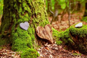Wooden heart grave marker resting on a moss-covered tree in a green cemetery