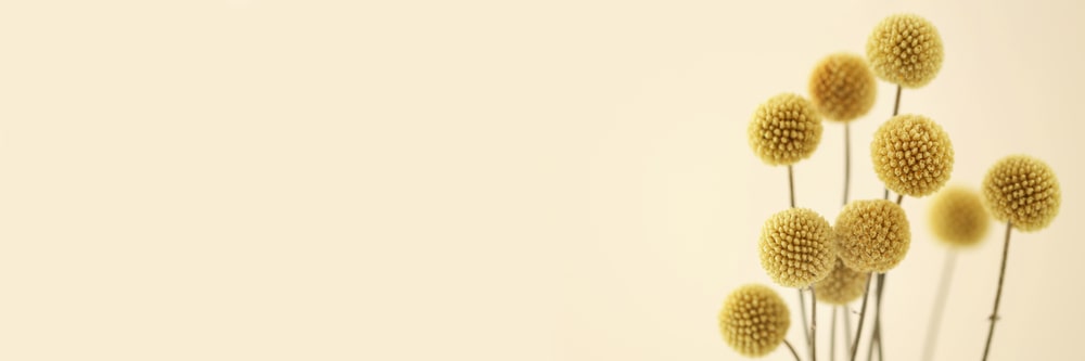 When to Consider Professional Grief Therapy