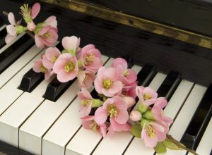 Pink,Quince,On,Piano,-,Condolence,Card