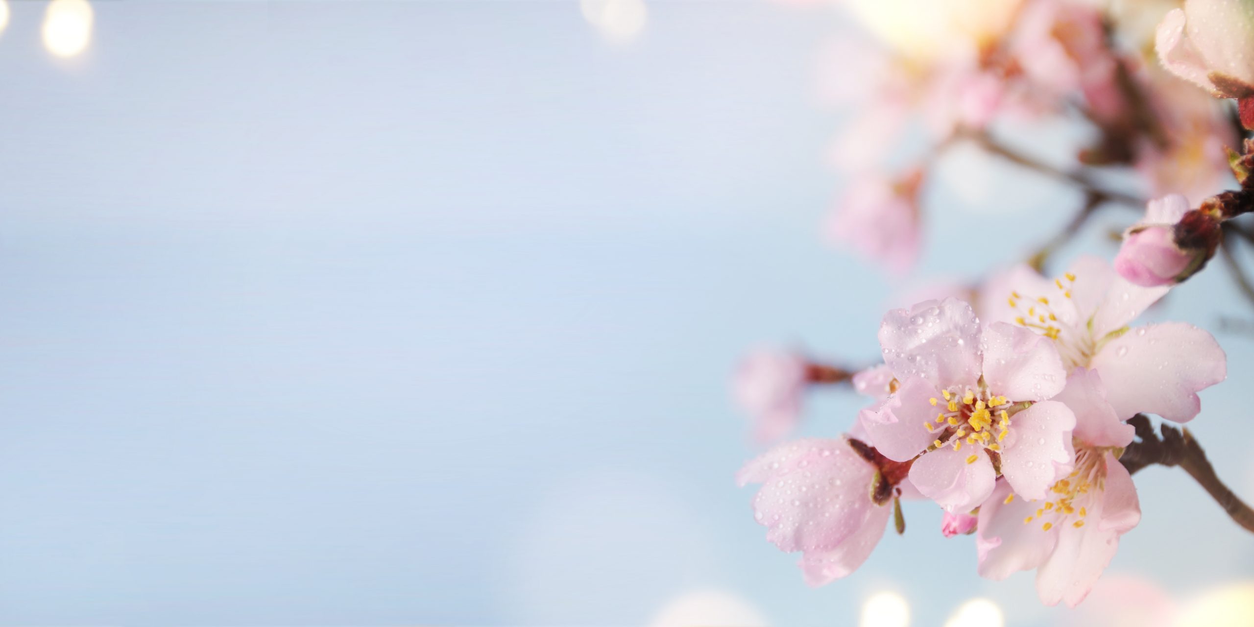 Top 10 Songs for a Funeral Ceremony