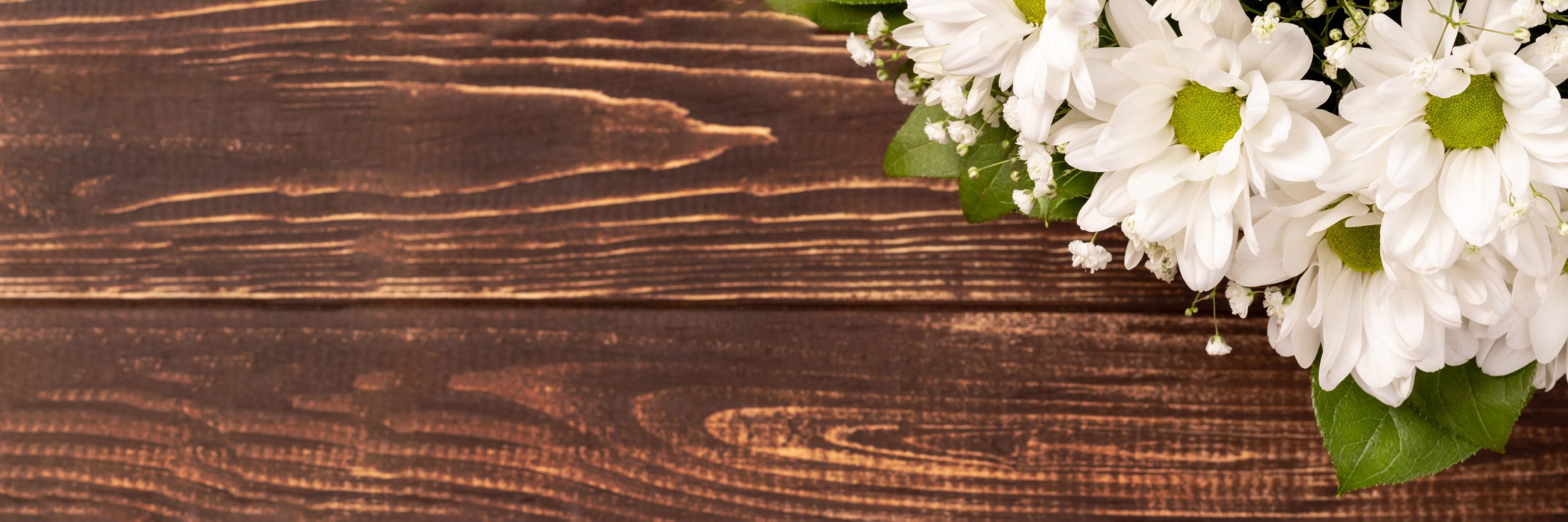 7 Popular Sympathy Flowers and Their Meanings