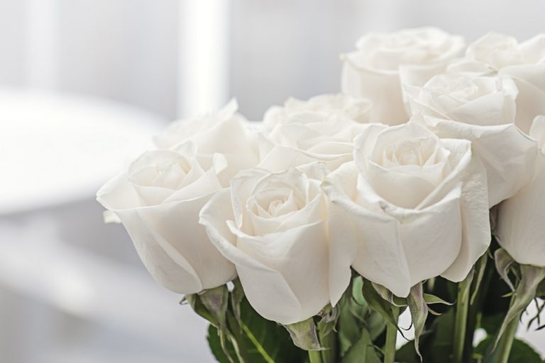 7 Popular Sympathy Flowers and Their Meanings Funeral Basics