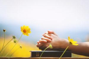 Person with folded hands resting on hymn book or Holy Bible; yellow flowers nearby