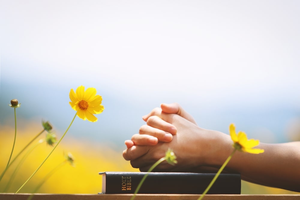 Person with folded hands resting on hymn book or Holy Bible; yellow flowers nearby