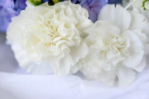 White carnations on a table
