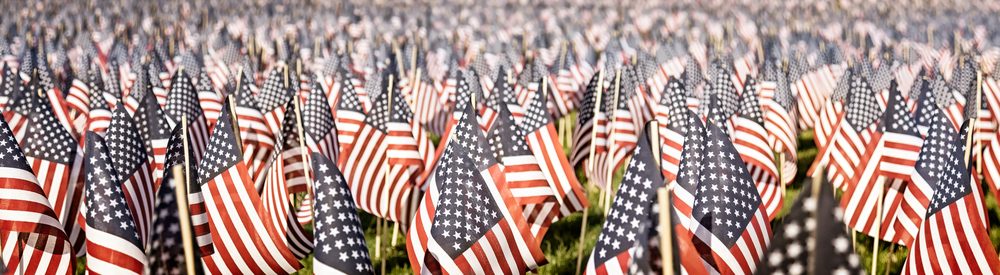 Hundreds of miniature American flags staked into the green grass