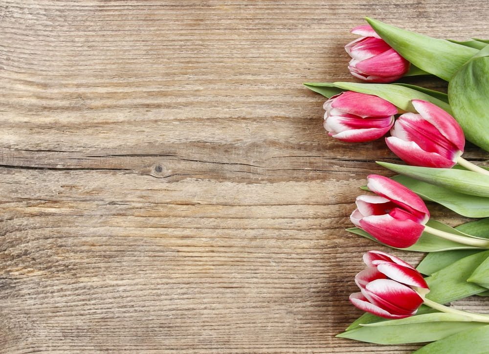 Unique Venue Ideas for a Celebration of Life Service