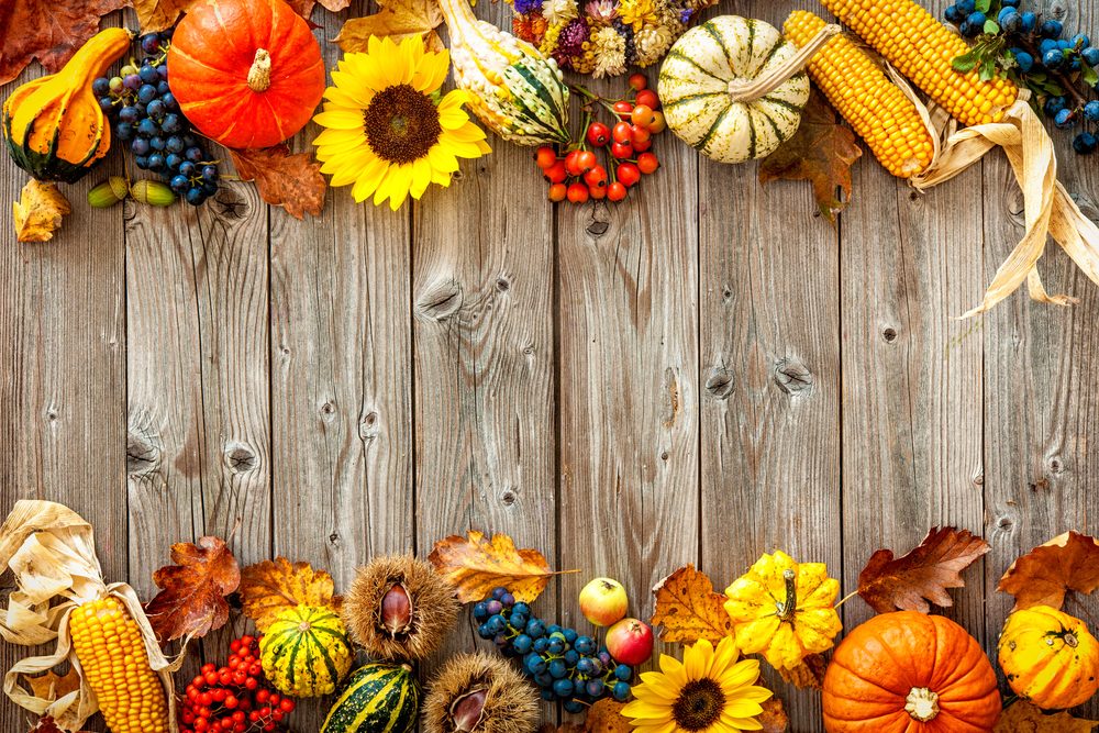 wooden plank background with fall leaves, pumpkins, goards, sunflowers, and other brigh fall colors.