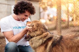 Young man volunteering at animal shelter