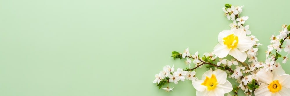 Love and Grief: Living as You Were Meant to Live