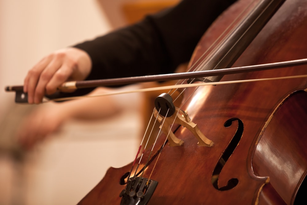 Personal playing a stringed instrument as they play special music at a meaningful funeral