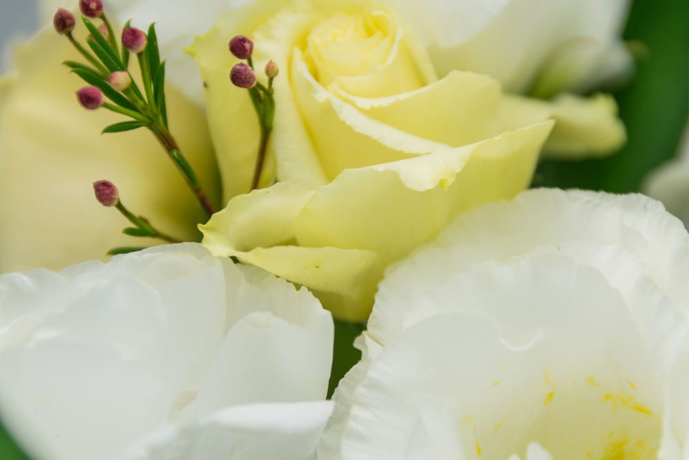 9 Funeral Costs That Are Often Overlooked