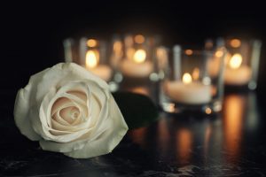 White rose in foreground with lit candles in the background