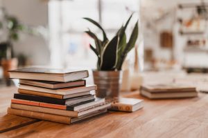 Stack of books next to a succulent plant