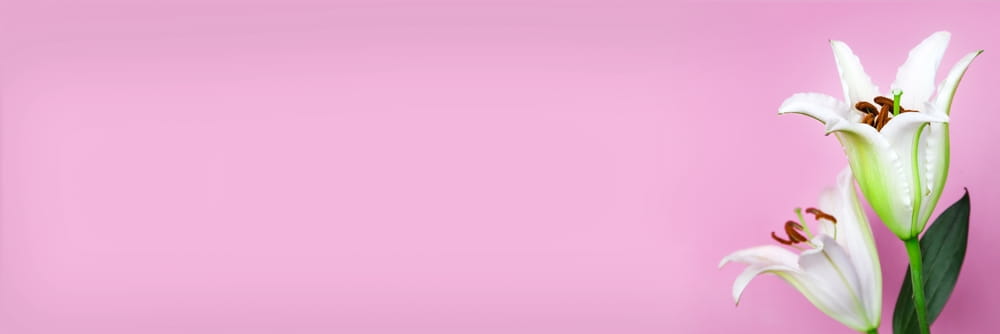 Planning a Funeral for Mom: A Comprehensive Guide