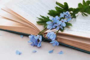 Open book with blue flowers resting in the spine