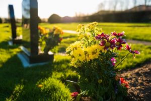 Colorful flowers at sunrise in a cemetery