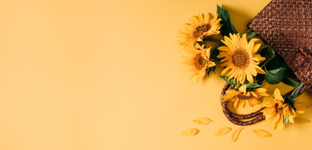 Make It Personal: 6 Unique Funeral Personalization Ideas