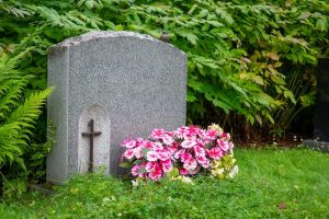 Pink flowers in front of a headstone