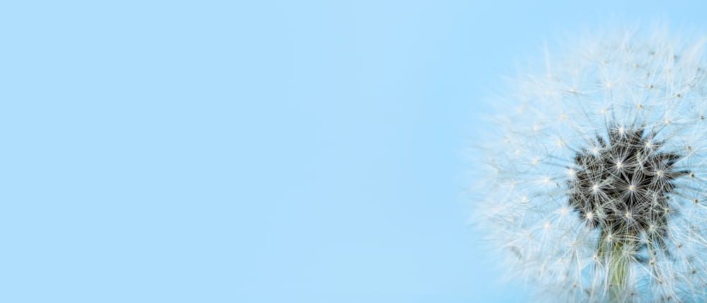 Planning a Funeral for Dad: A Comprehensive Guide