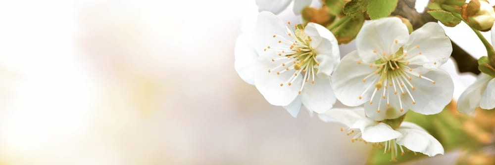 5 Reasons to Establish a Permanent Memorial