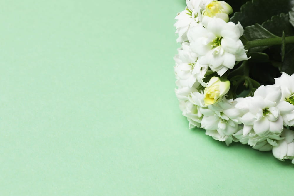 How to Share Your Funeral Plan with Family in 7 Easy Steps