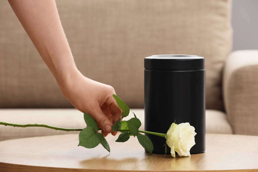 Person placing a white rose beside a black cremation urn on a table