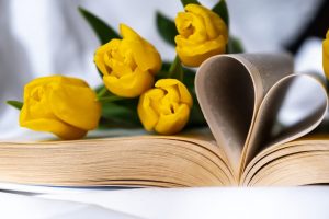 Yellow roses resting in the pages of a book