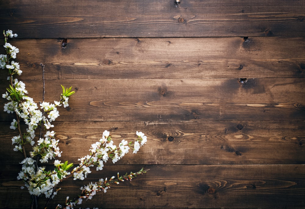6 Things You Probably Didn’t Know about Funeral Goods and Services