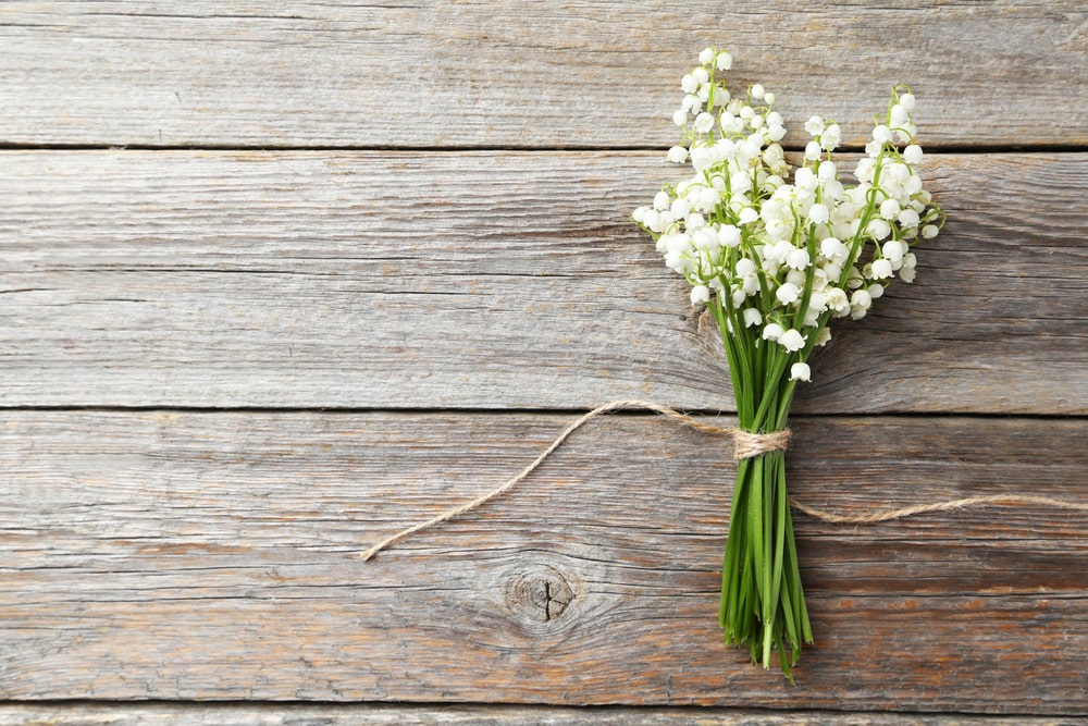 How Funerals Help Us Accept the Reality of Death