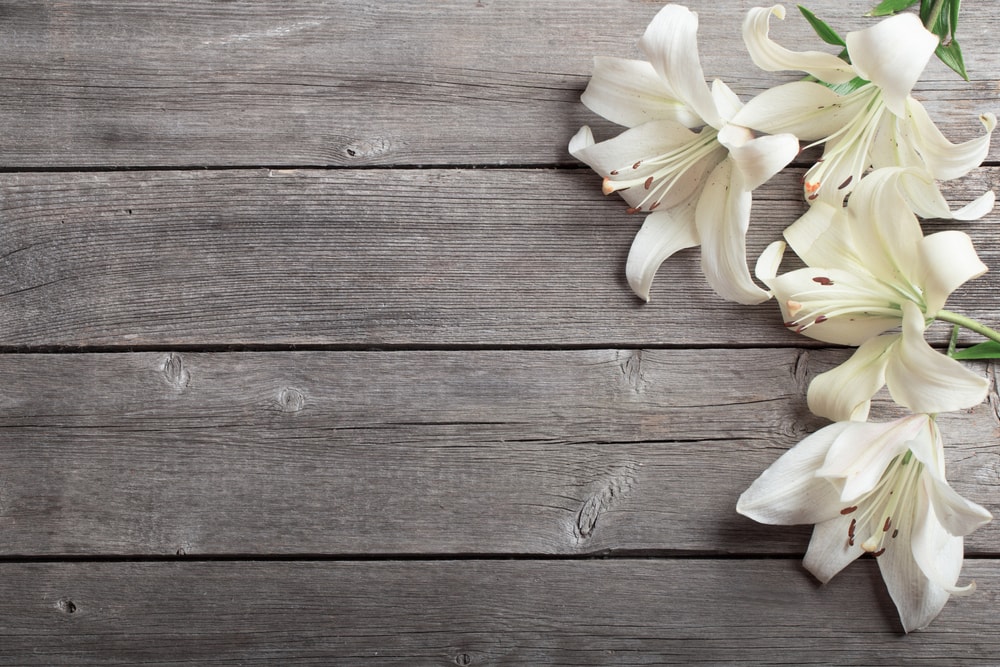 6 Ideas for Holding Funeral Services While Practicing Social Distancing