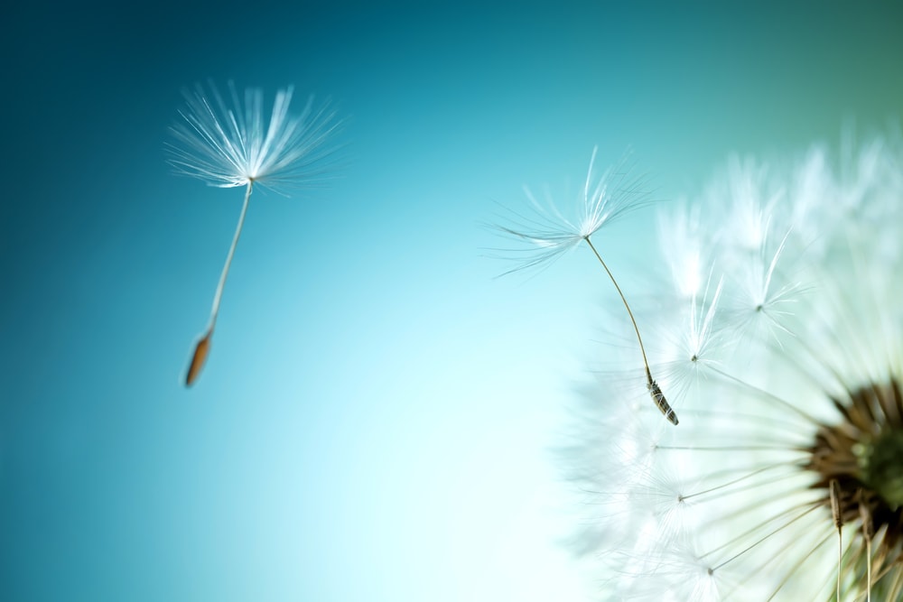 10 Challenges Grieving Grandparents Face