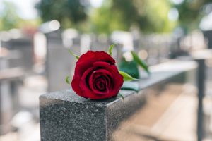 Red rose on cemetery monument