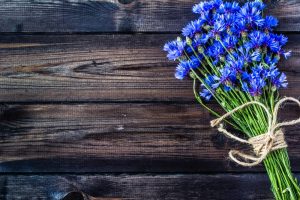 Vibrant blue flowers on dark wood background