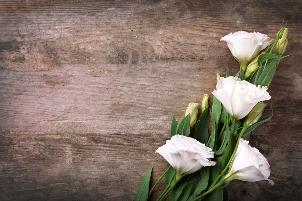 What’s the Difference Between a Funeral and Memorial Service?