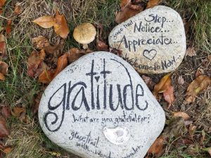 Two large rocks laying in grass with encouraging gratitude sayings written on them