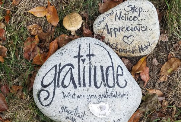 Two large rocks laying in grass with encouraging gratitude sayings written on them