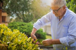 Older man outside gardening for self-care