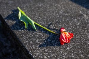 red flower lying on a dark colored headstone