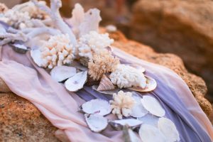 Decorating with seashells and the color ivory