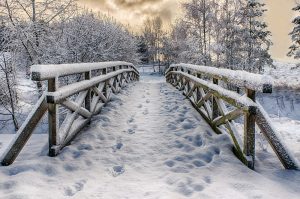 bridge covered in snow with soft daylight