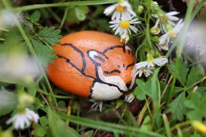 Shows small stone painted like a fox sitting in the grass